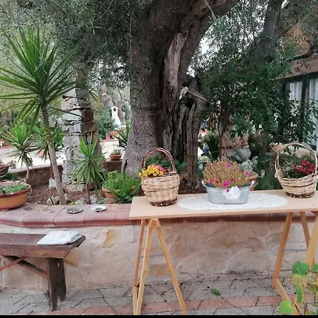Bed & Breakfast L'isola Felice E Trulli Sotto Le Stelle