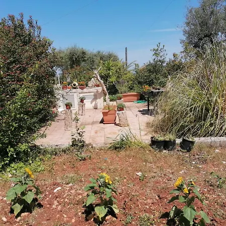 Bed & Breakfast L'isola Felice E Trulli Sotto Le Stelle 3*